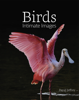 Hardcover Birds: Intimate Images Book