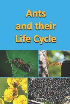 Paperback Ants and their Life Cycle Book