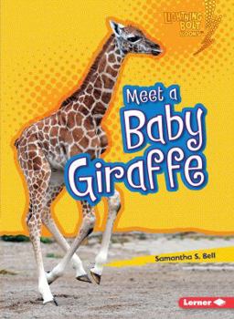 Paperback Meet a Baby Giraffe Book