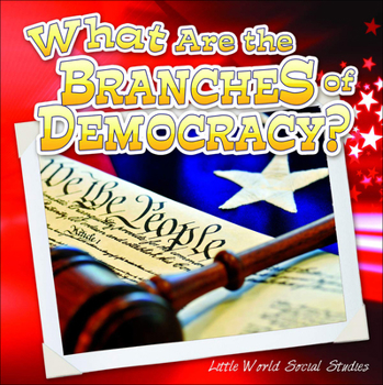 Library Binding What Are the Branches of Government? Book