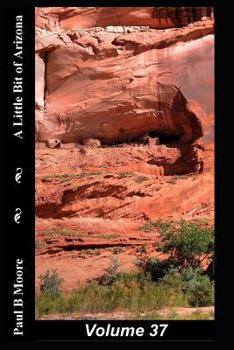 Paperback A Little Bit of Arizona: Volume 37 Book