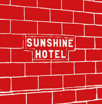 Hardcover Mitch Epstein: Sunshine Hotel Book