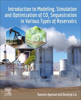 Paperback Introduction to Modeling, Simulation and Optimization of CO2 Sequestration in Various Types of Reservoirs Book