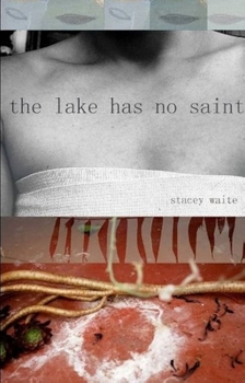 Paperback The Lake Has No Saint Book