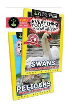 Paperback Everything You Should Know About: Swans and Pelicans Book