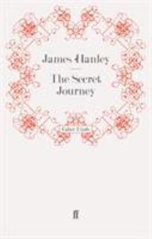 The Secret Journey - Book #2 of the Furys Saga