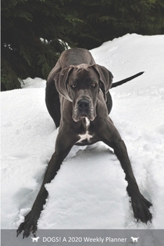 DOGS! A 2020 Weekly Planner: Cover Dog: December (Best Laid Plans)