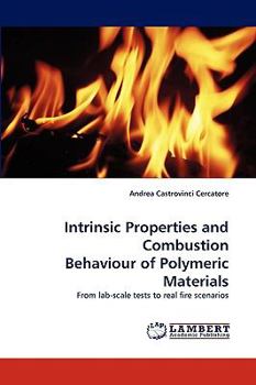 Paperback Intrinsic Properties and Combustion Behaviour of Polymeric Materials Book