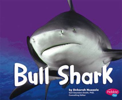 Bull Shark - Book  of the Sharks