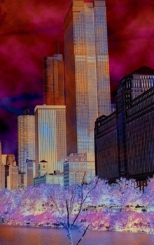 Big Pocket Canvas for - Whatever You Want - 6x9 - View from Chicago River : Your Personal Art Book
