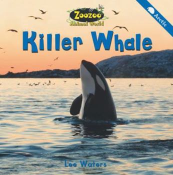 Paperback Zoozoo Animal World: Arctic Killer Whale Book