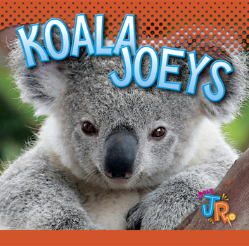 Library Binding Koala Joeys Book