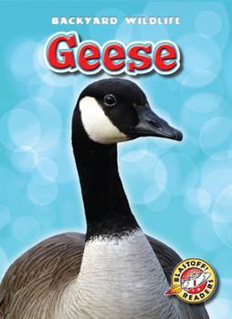 Geese - Book  of the Backyard Wildlife