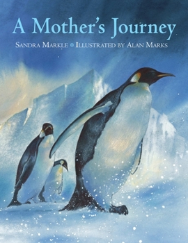 Hardcover A Mother's Journey Book