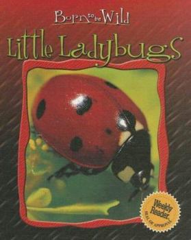 Library Binding Little Ladybugs Book