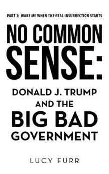 Paperback No Common Sense: Donald J. Trump and the Big Bad Government Book