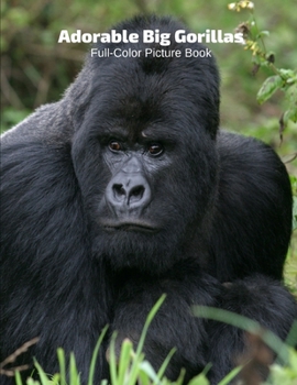Adorable Big Gorilla Full-Color Picture Book: Animals Photography Book