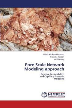 Paperback Pore Scale Network Modeling Approach Book