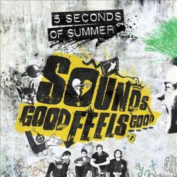 Vinyl Sounds Good Feels Good (LP) Book