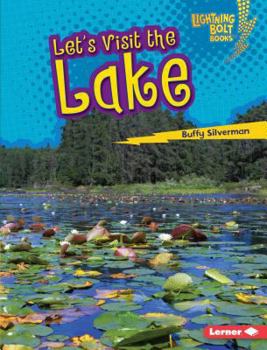 Library Binding Let's Visit the Lake Book