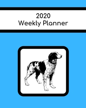 Paperback 2020 Weekly Planner: Brittany Spaniel; January 1, 2020 - December 31, 2020; 8" x 10" Book