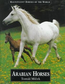 Library Binding Arabian Horses Book