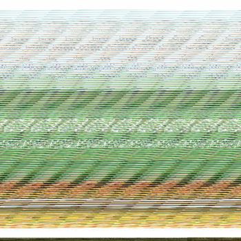 Paperback Buttercup Book