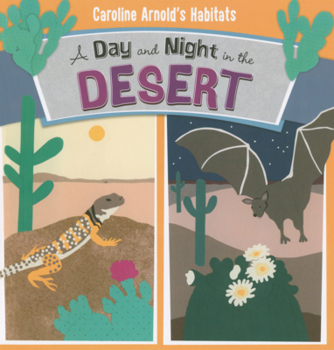 Day and Night in the Desert