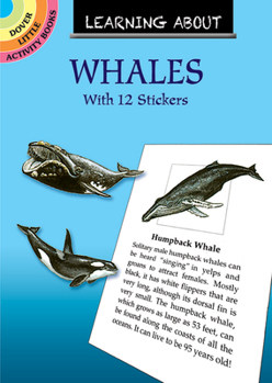Paperback Learning about Whales [With Whales] Book