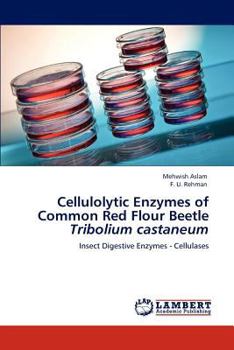 Cellulolytic Enzymes of Common Red Flour Beetle >i<Tribolium castaneum: >/i<Insect Digestive Enzymes - Cellulases