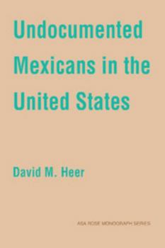 Undocumented Mexicans in the USA (American Sociological Association Rose Monographs)