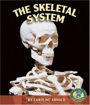 The Skeletal System - Book  of the El Cuerpo Humano