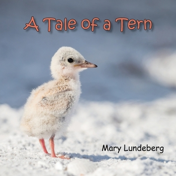 Paperback A Tale of a Tern Book
