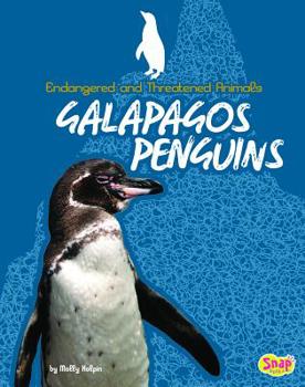 Hardcover Galapagos Penguins Book