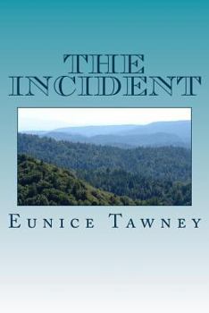 Paperback The Incident Book