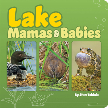 Board book Lake Mamas & Babies Book