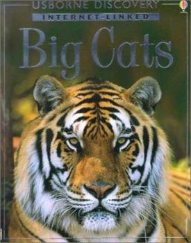 Big Cats (Usborne Discovery Internet-Linked) - Book  of the Usborne Discovery Books