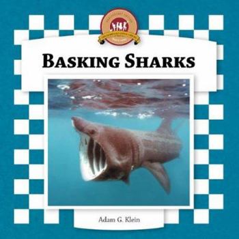 Basking Sharks (Sharks Set II) - Book  of the Sharks