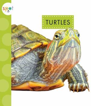 Paperback Turtles Book