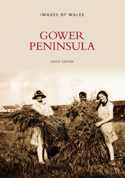 Paperback Gower Peninsula: Images of Wales Book