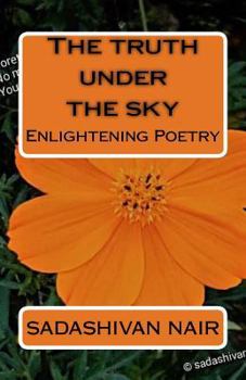 Paperback The truth under the sky Book