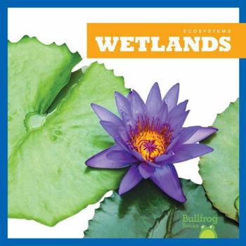 Library Binding Wetlands Book