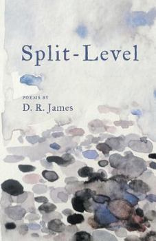 Paperback Split-Level Book