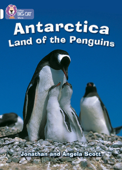 Paperback Antarctica: Land of the Penguins: White/Band 10 Book