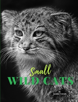 Paperback Small Wild Cats Book