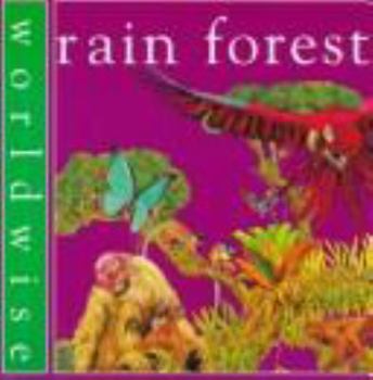 Paperback Rain Forest Book