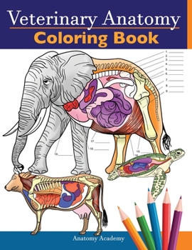 Paperback Veterinary Anatomy Coloring Book: Animals Physiology Self-Quiz Color Workbook for Studying and Relaxation Perfect gift For Vet Students and even Adult Book