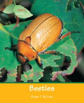 Library Binding Beetles (Insects) Book