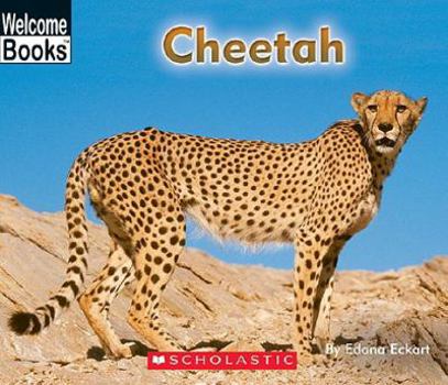 Cheetah