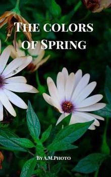 Hardcover The Colors of Spring: made in Israel Book